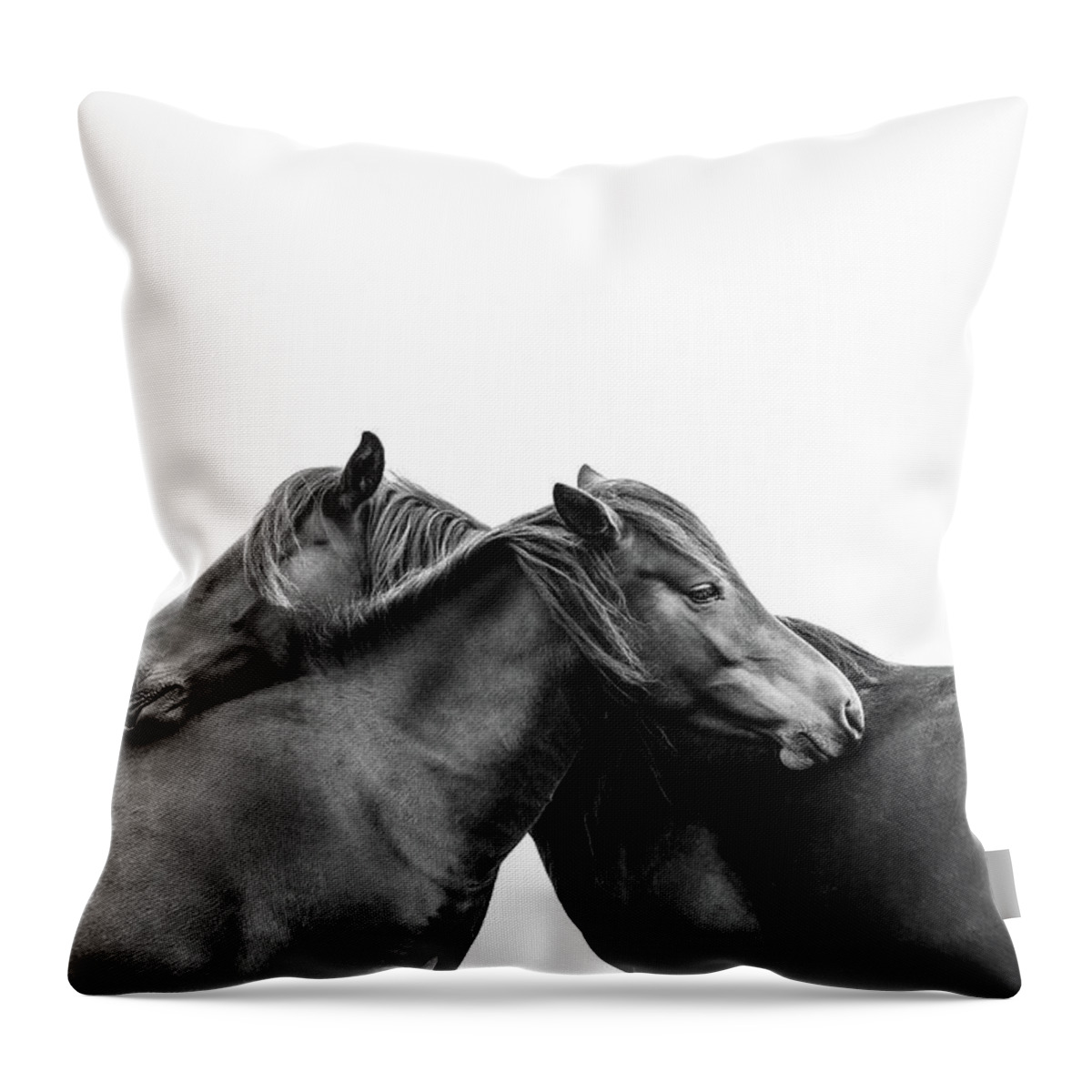 Photographs Throw Pillow featuring the photograph You make me happy II - Horse Art #1 by Lisa Saint