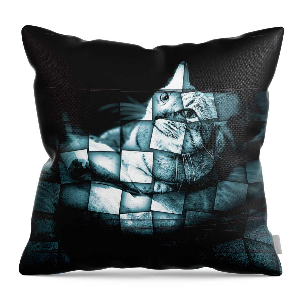 Artistic Throw Pillow featuring the digital art Yuli 4 #1 by Marko Sabotin