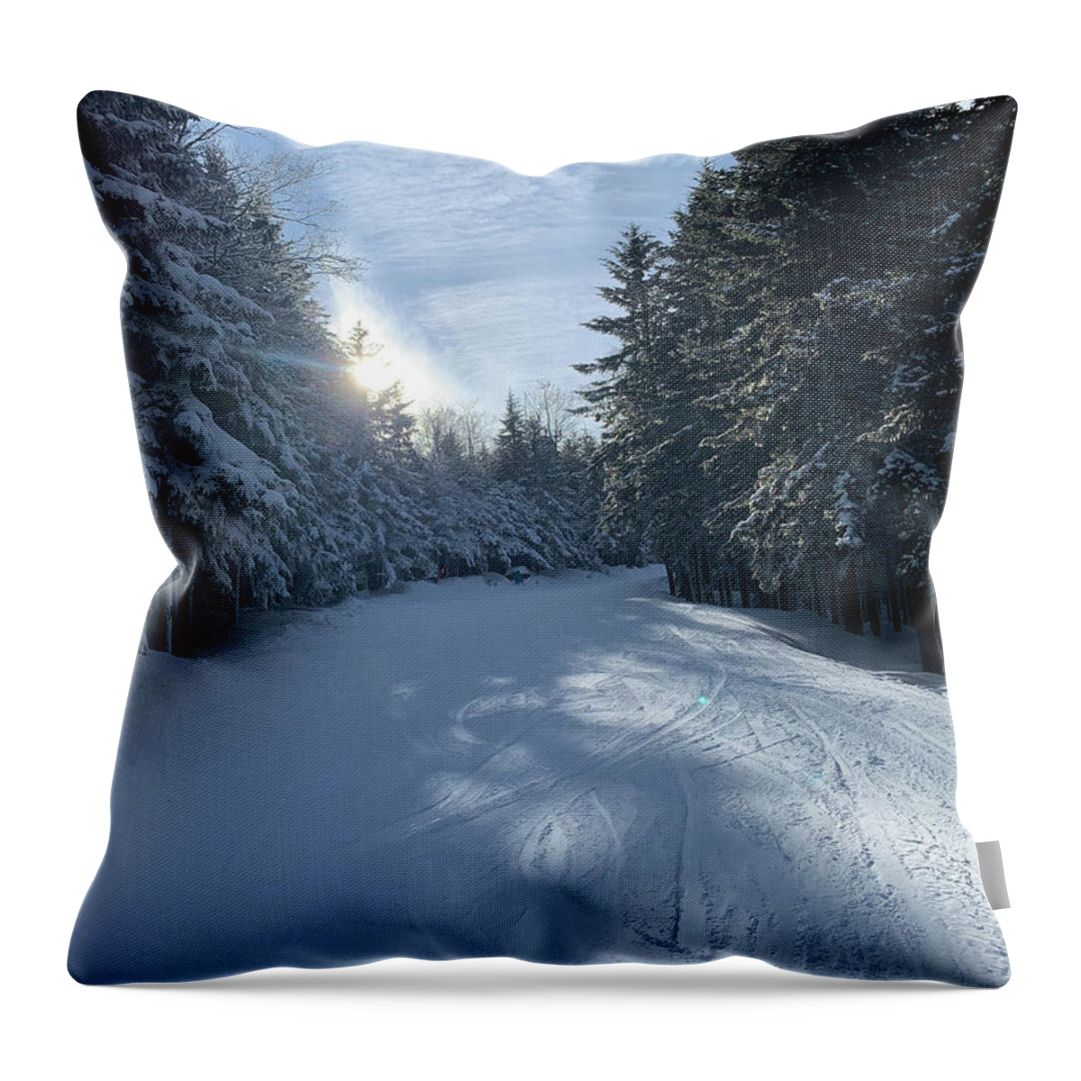  Throw Pillow featuring the photograph Winter Wonderland #10 by Annamaria Frost