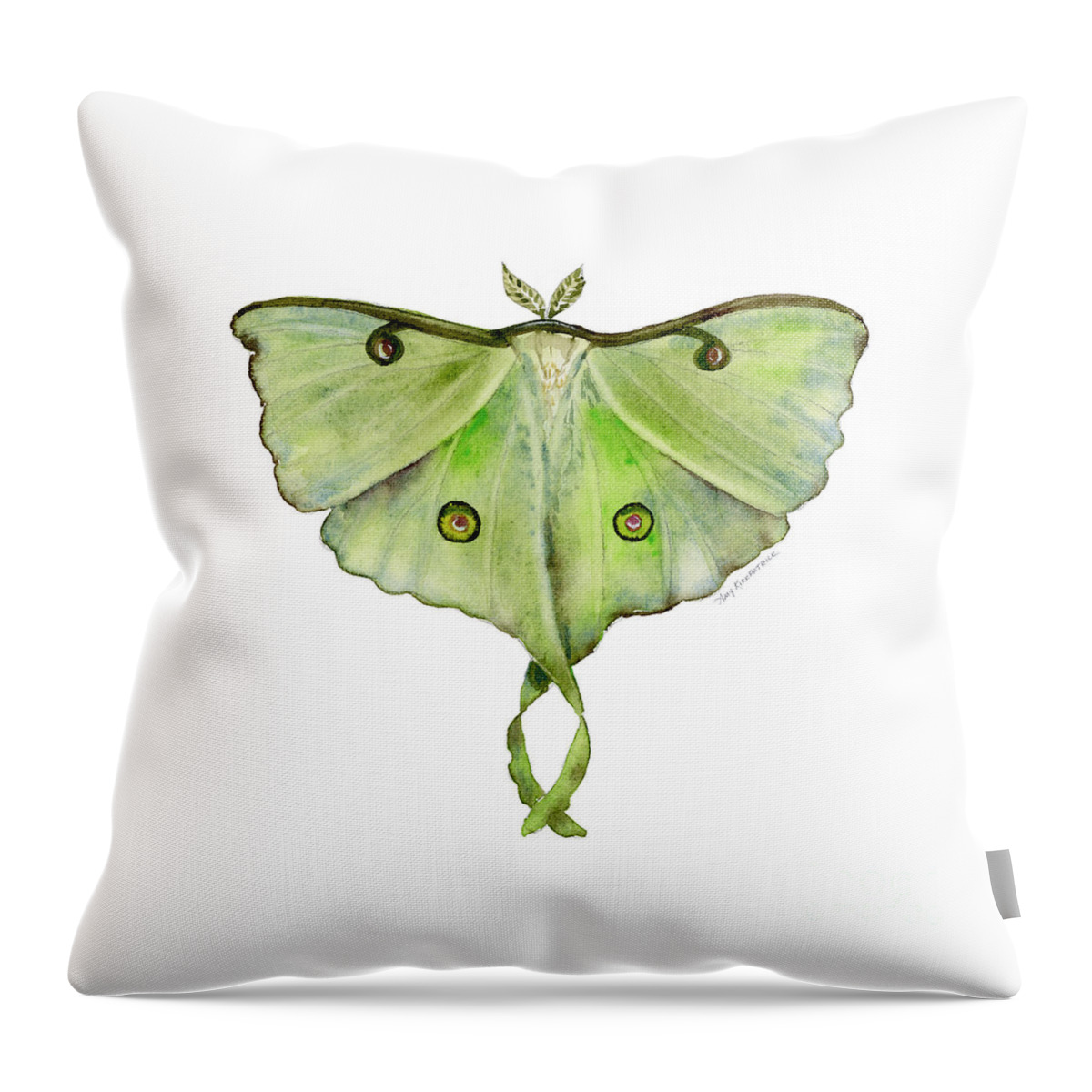 Green Butterfly Throw Pillow featuring the painting 100 Luna Moth by Amy Kirkpatrick