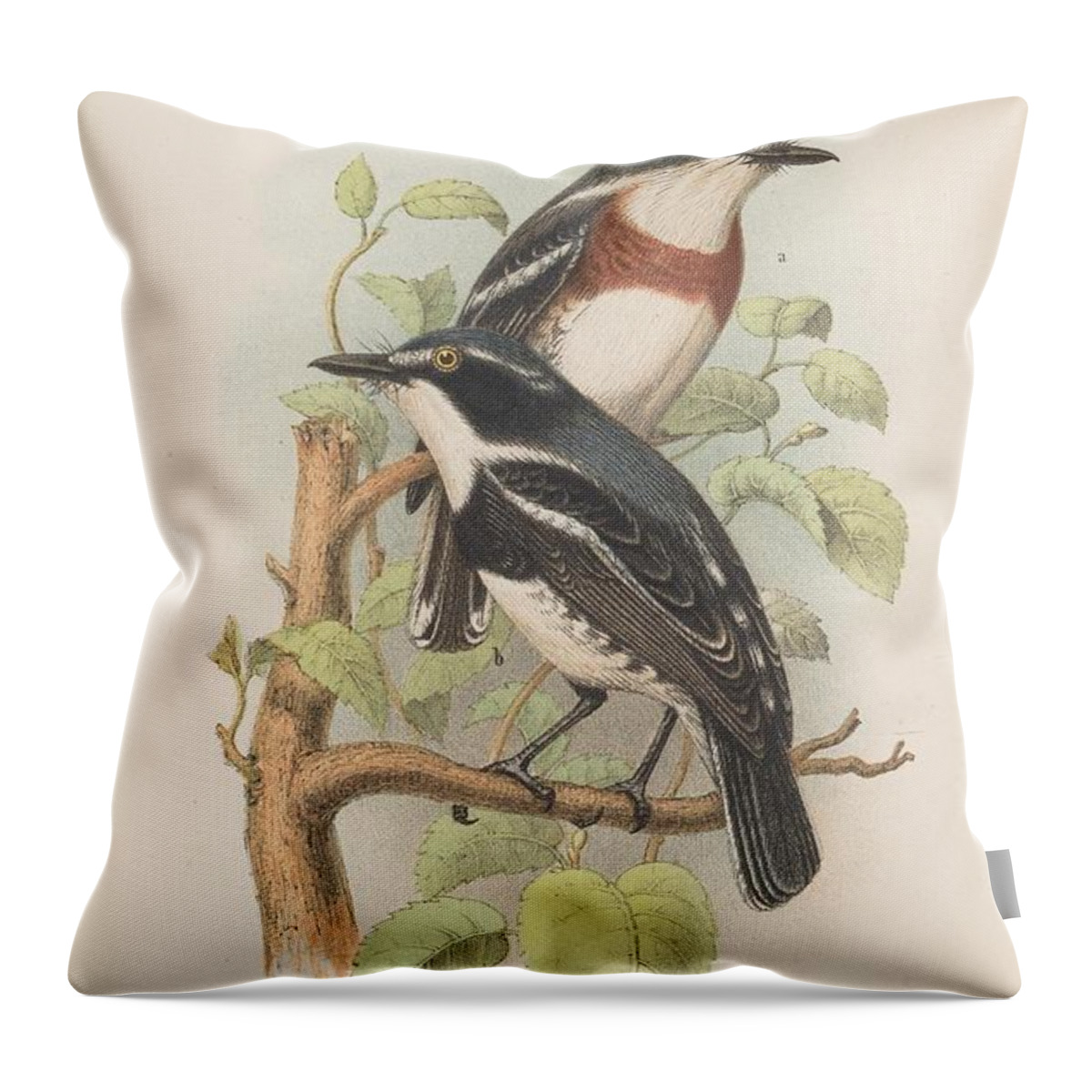 Birds Throw Pillow featuring the mixed media Beautiful Vintage Bird #1025 by World Art Collective