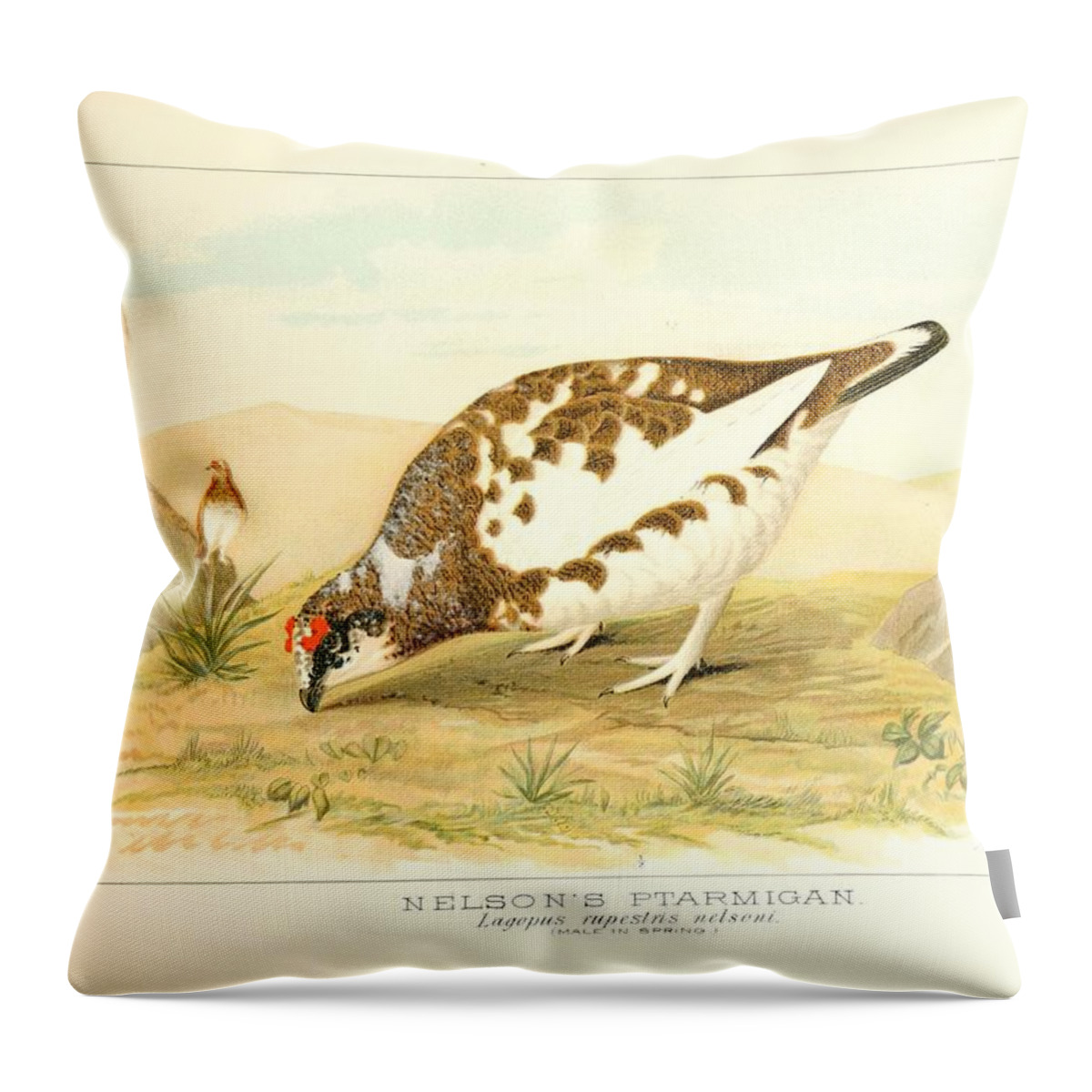 Birds Throw Pillow featuring the mixed media Beautiful Vintage Bird #1034 by World Art Collective