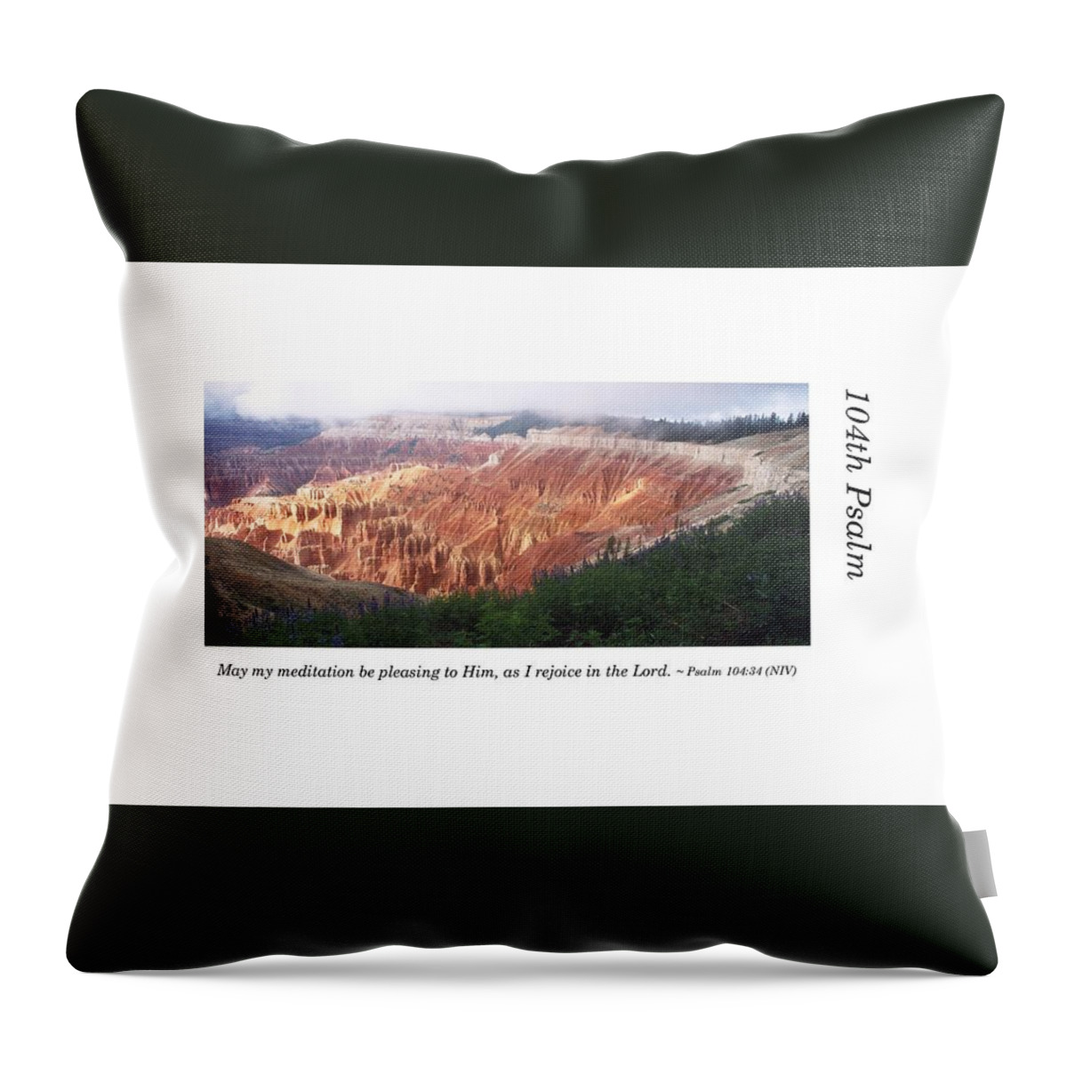 Richard E. Porter Throw Pillow featuring the photograph 104th Psalm-Cedar Breaks with Flowers by Richard Porter