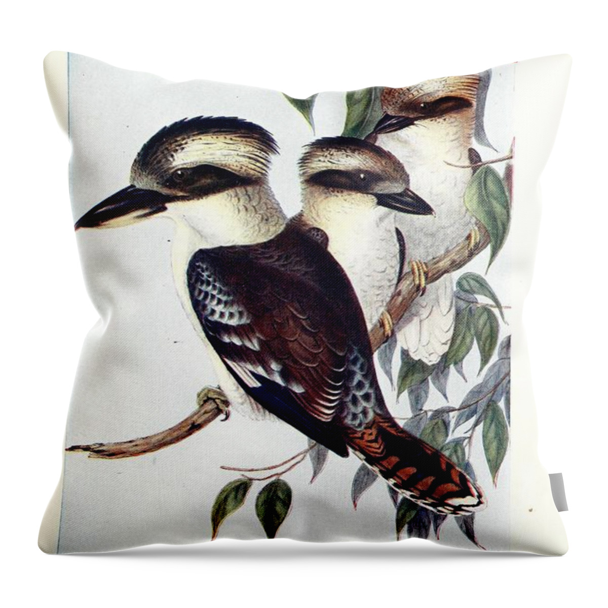 Birds Throw Pillow featuring the mixed media Beautiful Vintage Bird #1055 by World Art Collective
