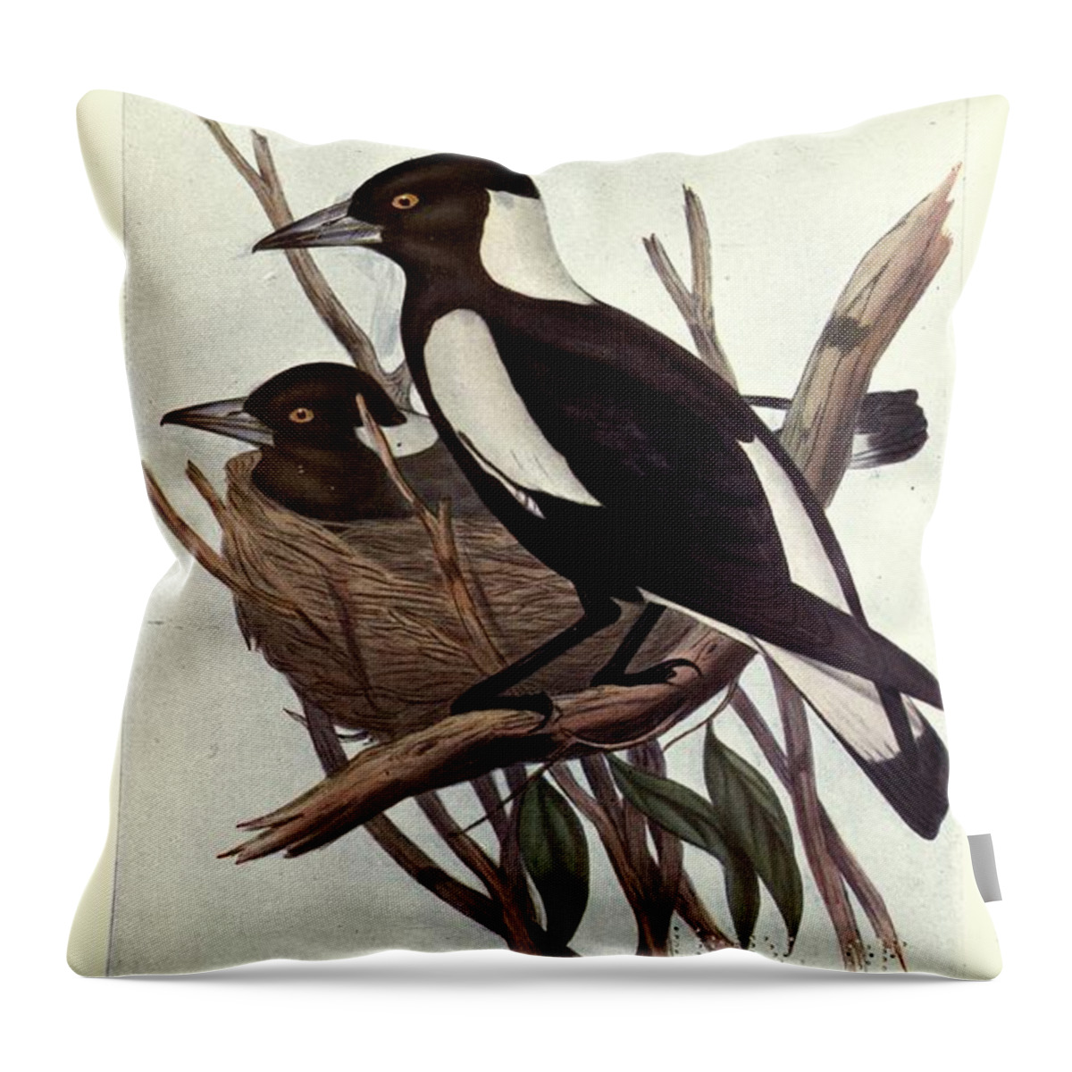 Birds Throw Pillow featuring the mixed media Beautiful Vintage Bird #1105 by World Art Collective