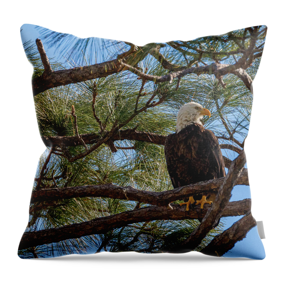 Bird Throw Pillow featuring the photograph 1262 by Les Greenwood