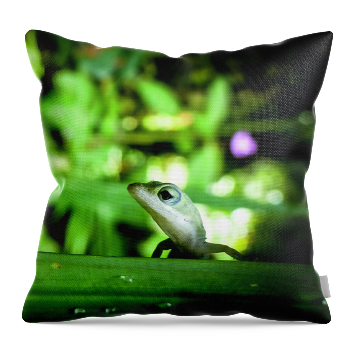 Green Gecko Pictures Throw Pillow featuring the photograph Hawaii Gecko Photography 20150713-788 by Rowan Lyford