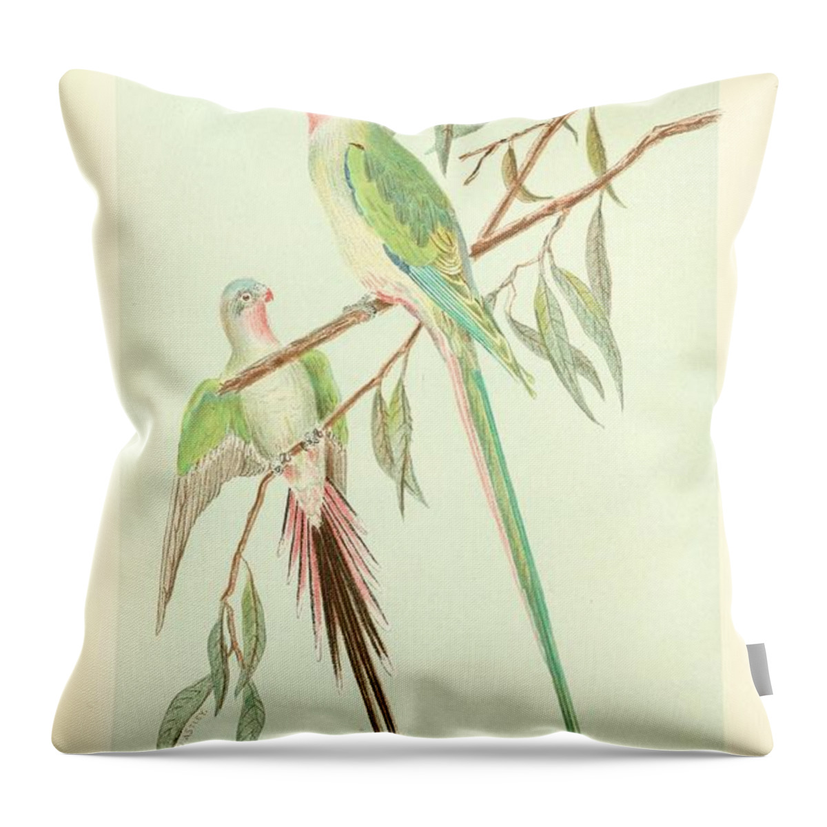 Parrot Throw Pillow featuring the mixed media Beautiful Vintage Parrot #159 by World Art Collective