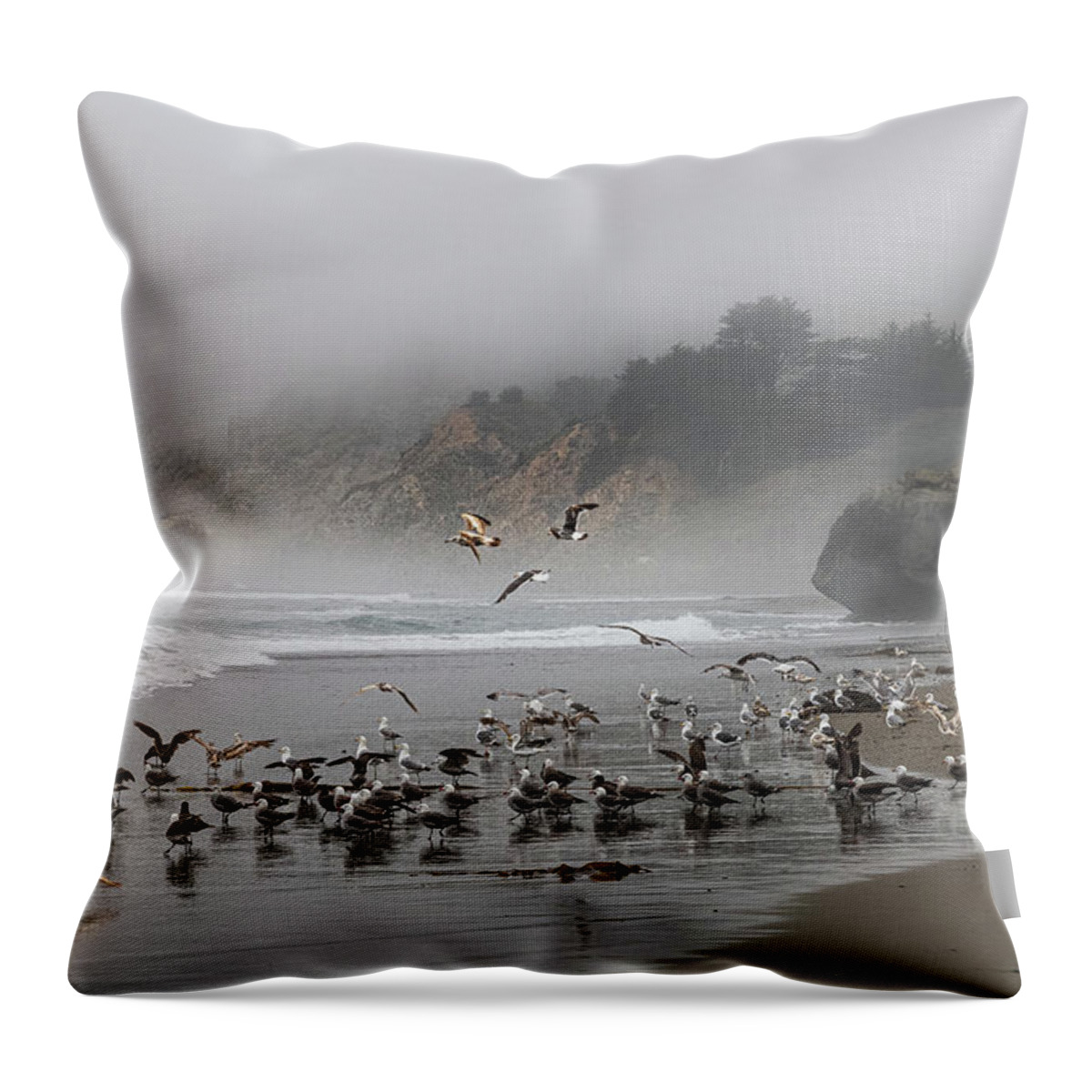  Throw Pillow featuring the photograph San Simeon #16 by Lars Mikkelsen