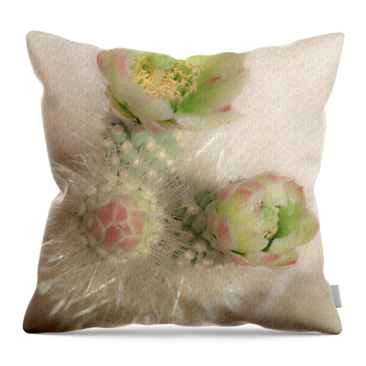 Cactus Throw Pillow featuring the photograph 1629 Watercolor Cactus Blossom by Kenneth Johnson