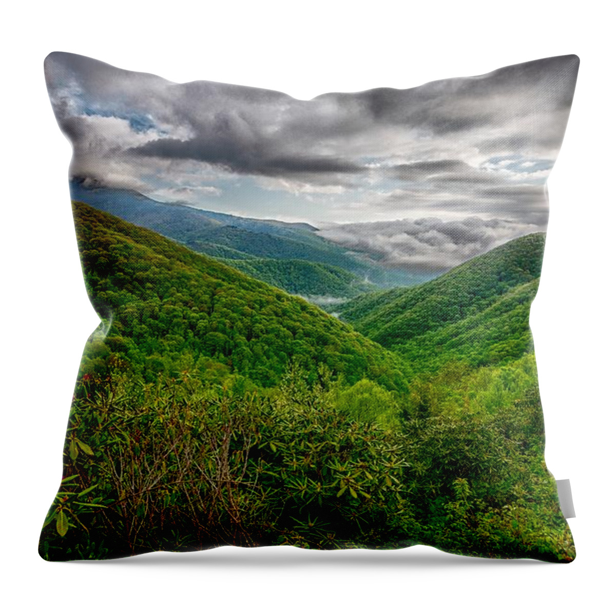 Rock Throw Pillow featuring the photograph Blue Ridge Mountains Near Mount Mitchell And Cragy Gardens #17 by Alex Grichenko