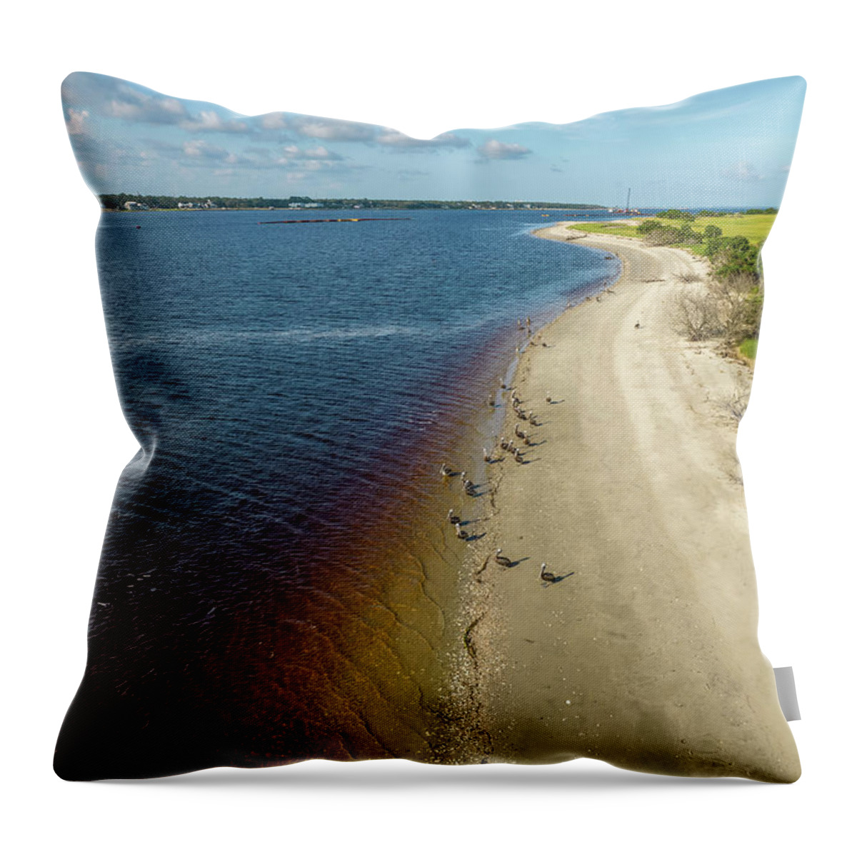 Aerial Throw Pillow featuring the photograph Southport, NC #17 by Dave Guy