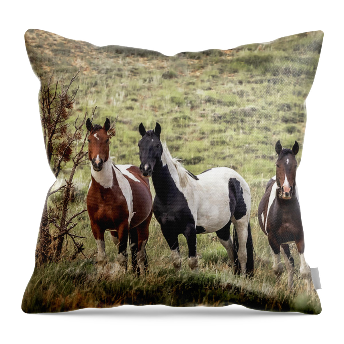 Horse Throw Pillow featuring the photograph Wild Horses #17 by Laura Terriere