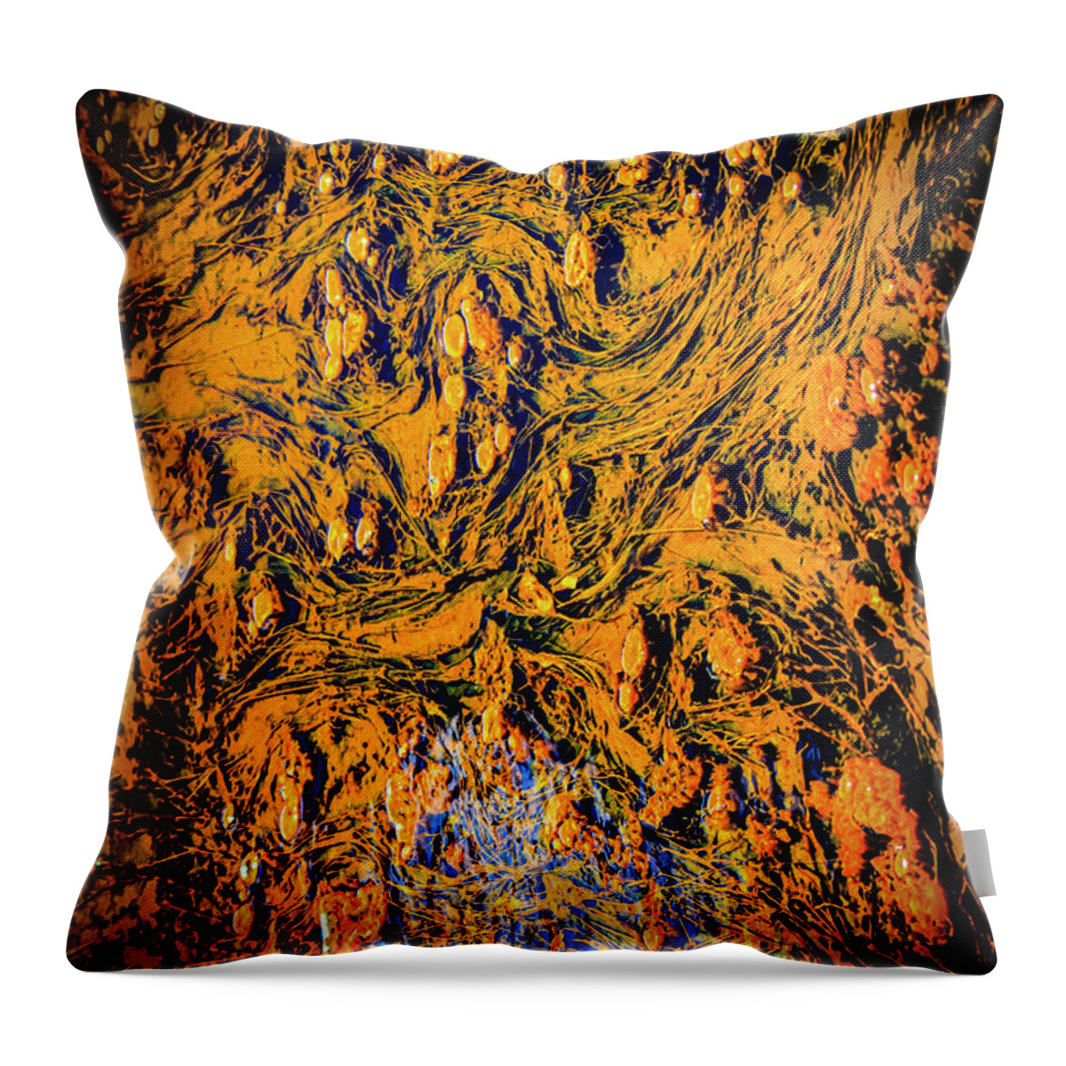 Texture Throw Pillow featuring the photograph Yellowstone Abstract Photography 20180518-84 by Rowan Lyford