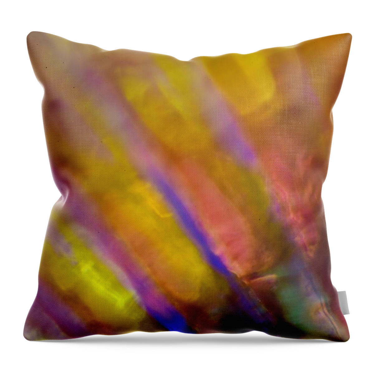 Abstract Throw Pillow featuring the photograph Abstract #4 by Neil R Finlay
