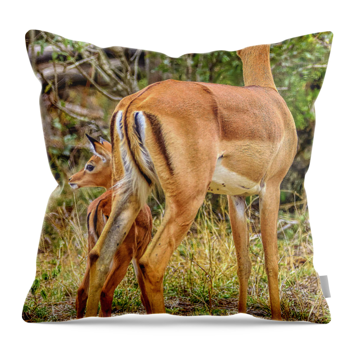Kruger National Park South Africa Throw Pillow featuring the photograph Kruger National Park South Africa #19 by Paul James Bannerman