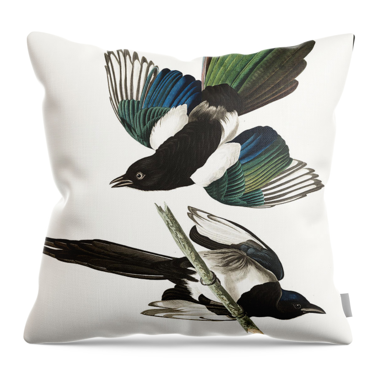 American Magpie Throw Pillow featuring the painting American Magpie #2 by Alexander Ivanov