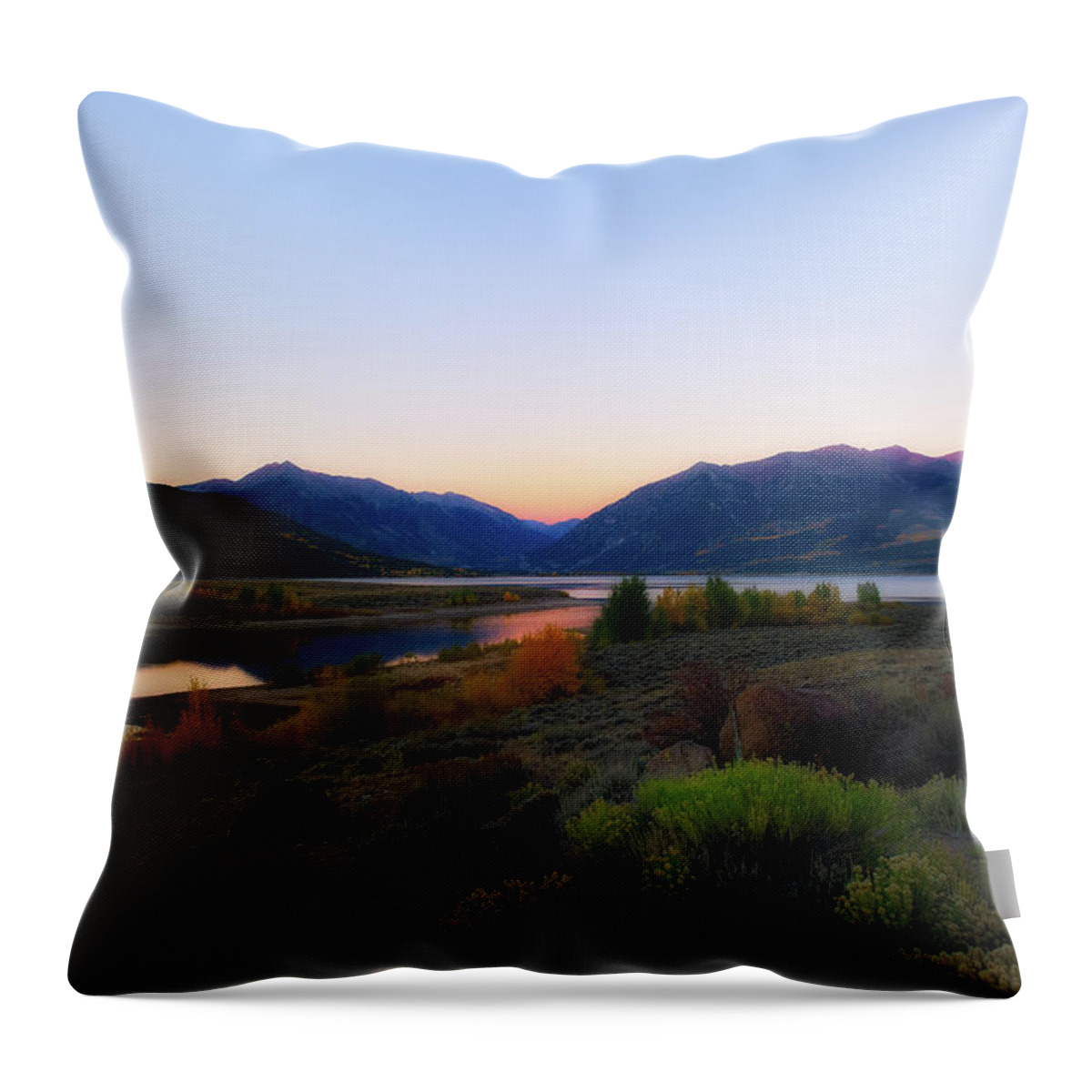 Co Throw Pillow featuring the photograph Aspens at Twin Lakes #2 by Doug Wittrock