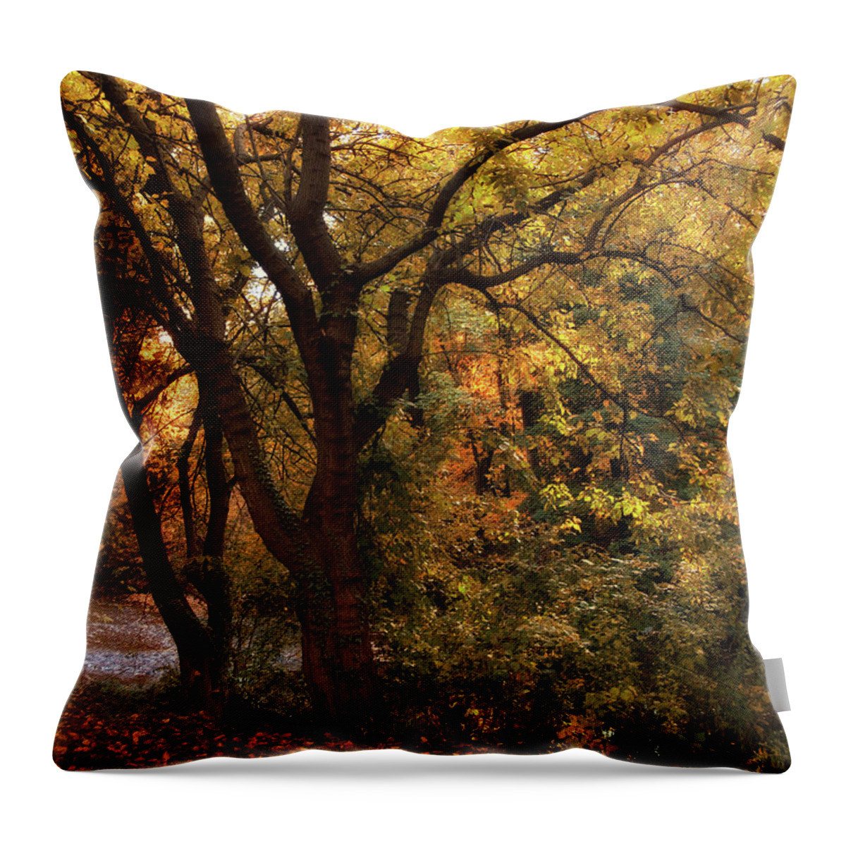 Autumn Throw Pillow featuring the photograph Autumn Glow #2 by Jessica Jenney