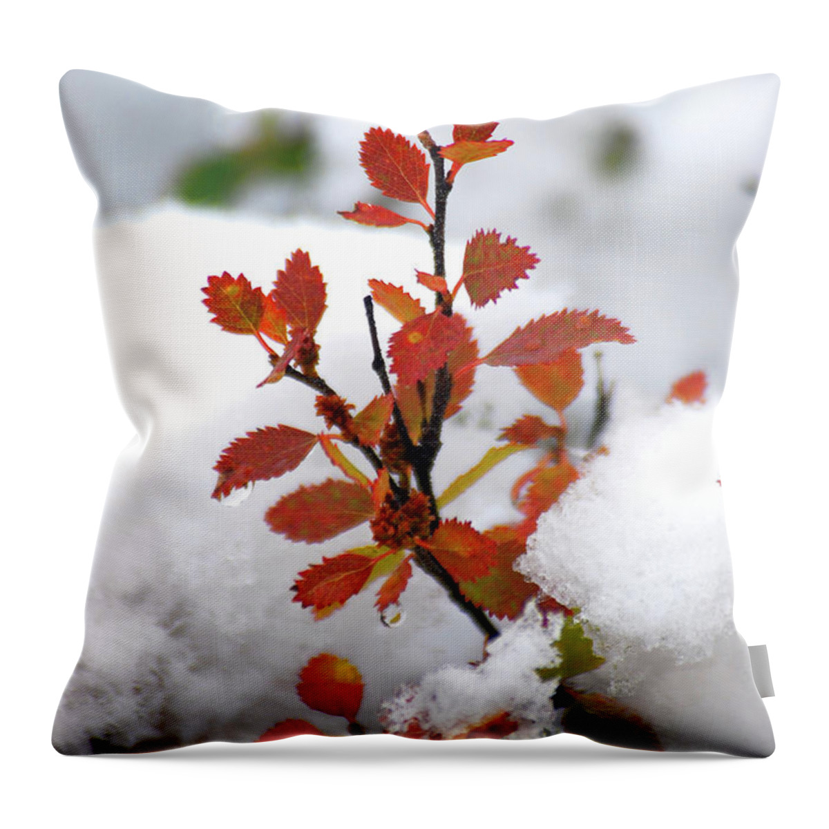 Autumn Visited Winter Throw Pillow featuring the photograph Autumn visited winter #2 by Elbegzaya Lkhagvasuren