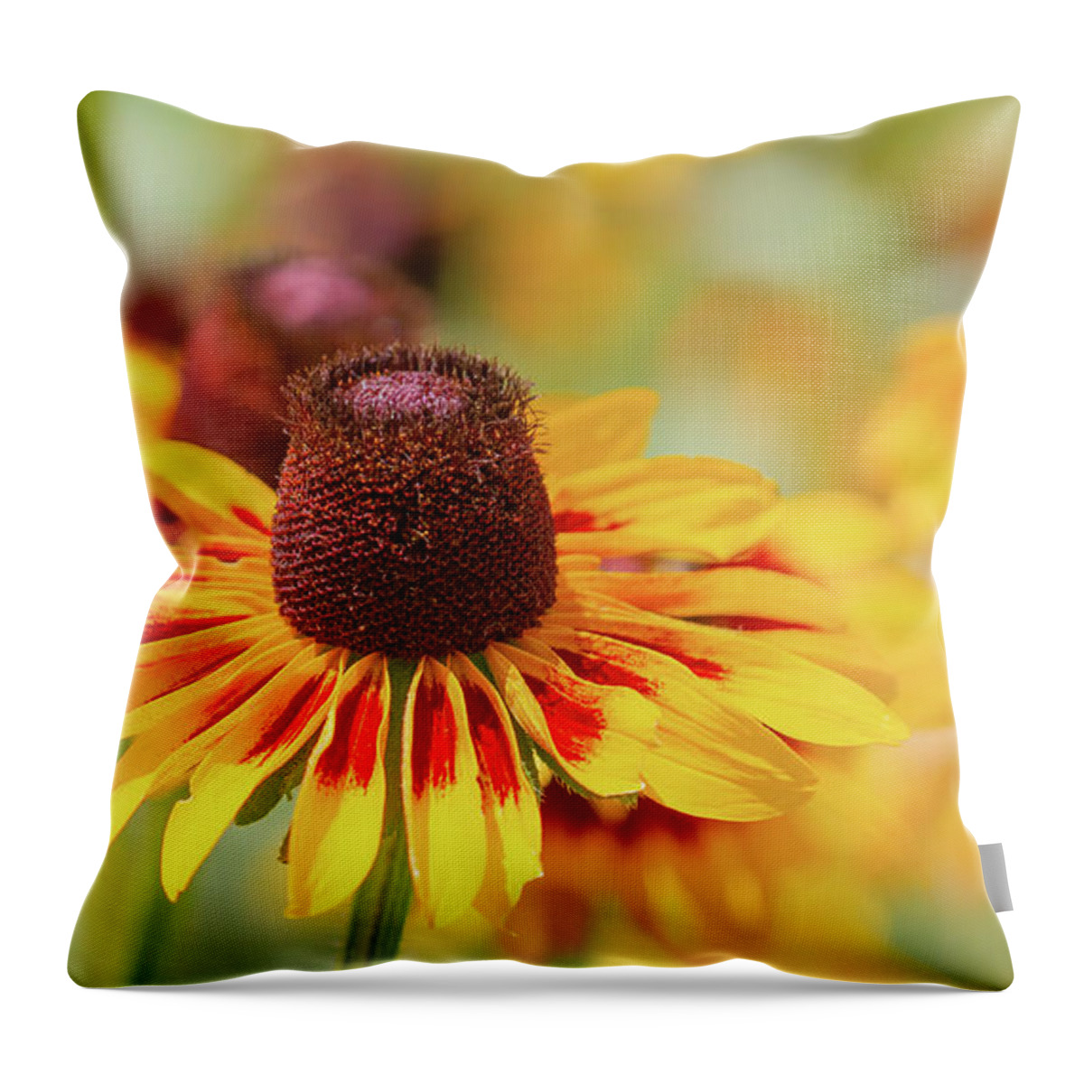 Flowers Throw Pillow featuring the photograph Black-eyed Susans #1 by Chris Scroggins
