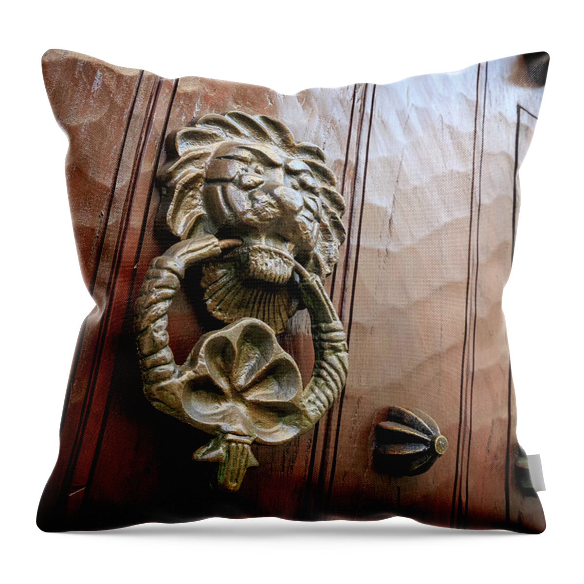 Cartagena Throw Pillow featuring the photograph Cartagena Bolivar Colombia #2 by Tristan Quevilly