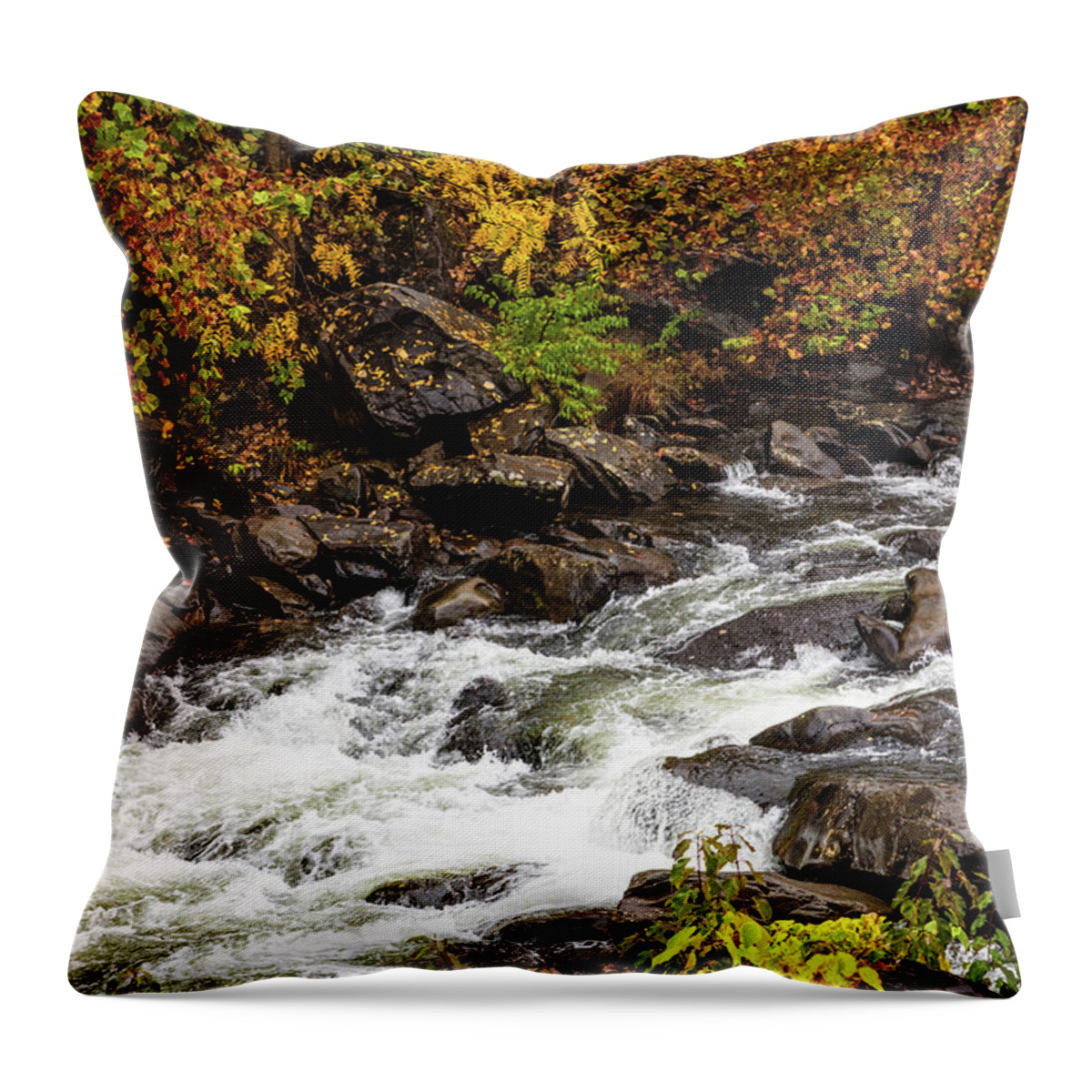Carolina Throw Pillow featuring the photograph Cheoah River Cascades #2 by Debra and Dave Vanderlaan
