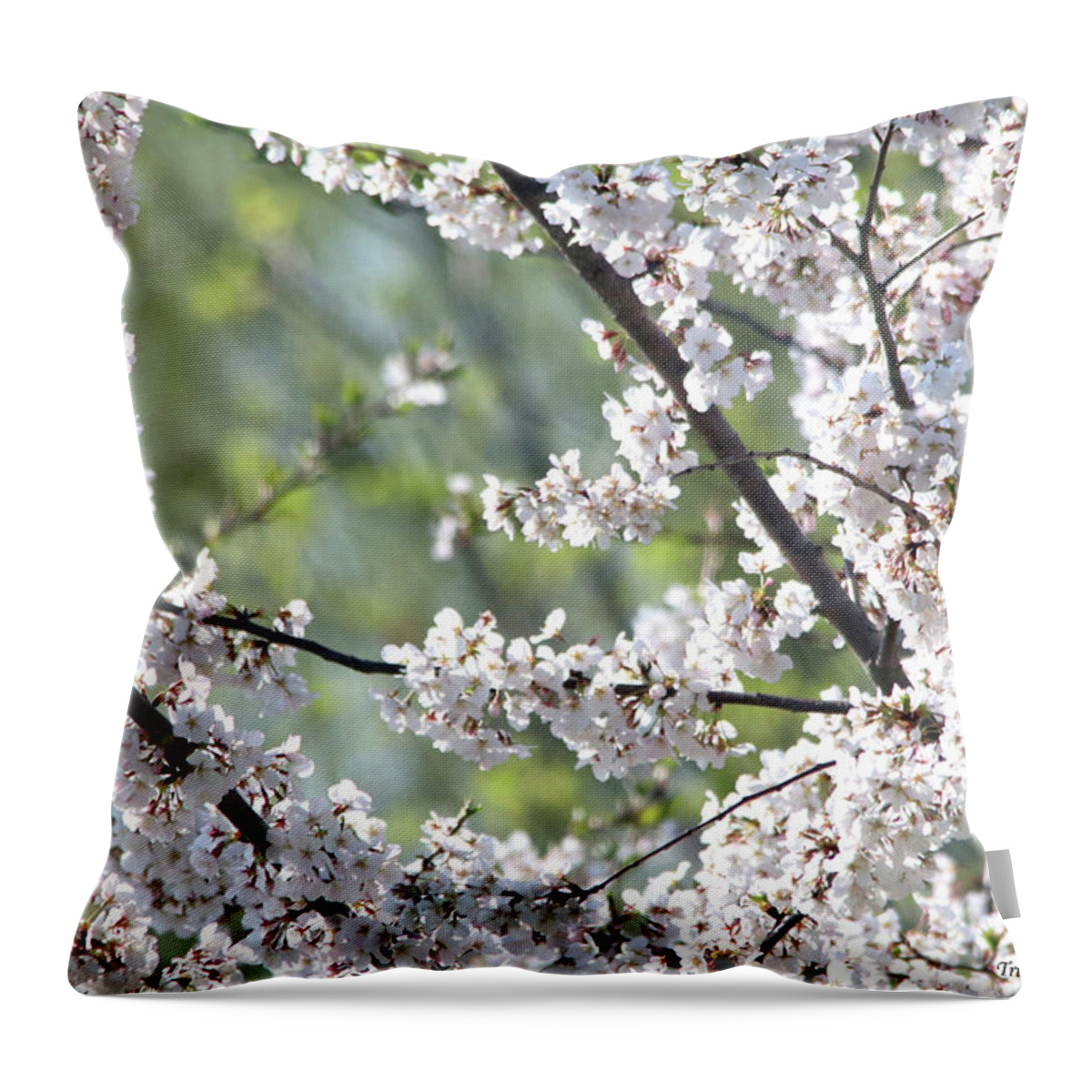 Flowers Throw Pillow featuring the photograph Cherry Blossoms #2 by Trina Ansel