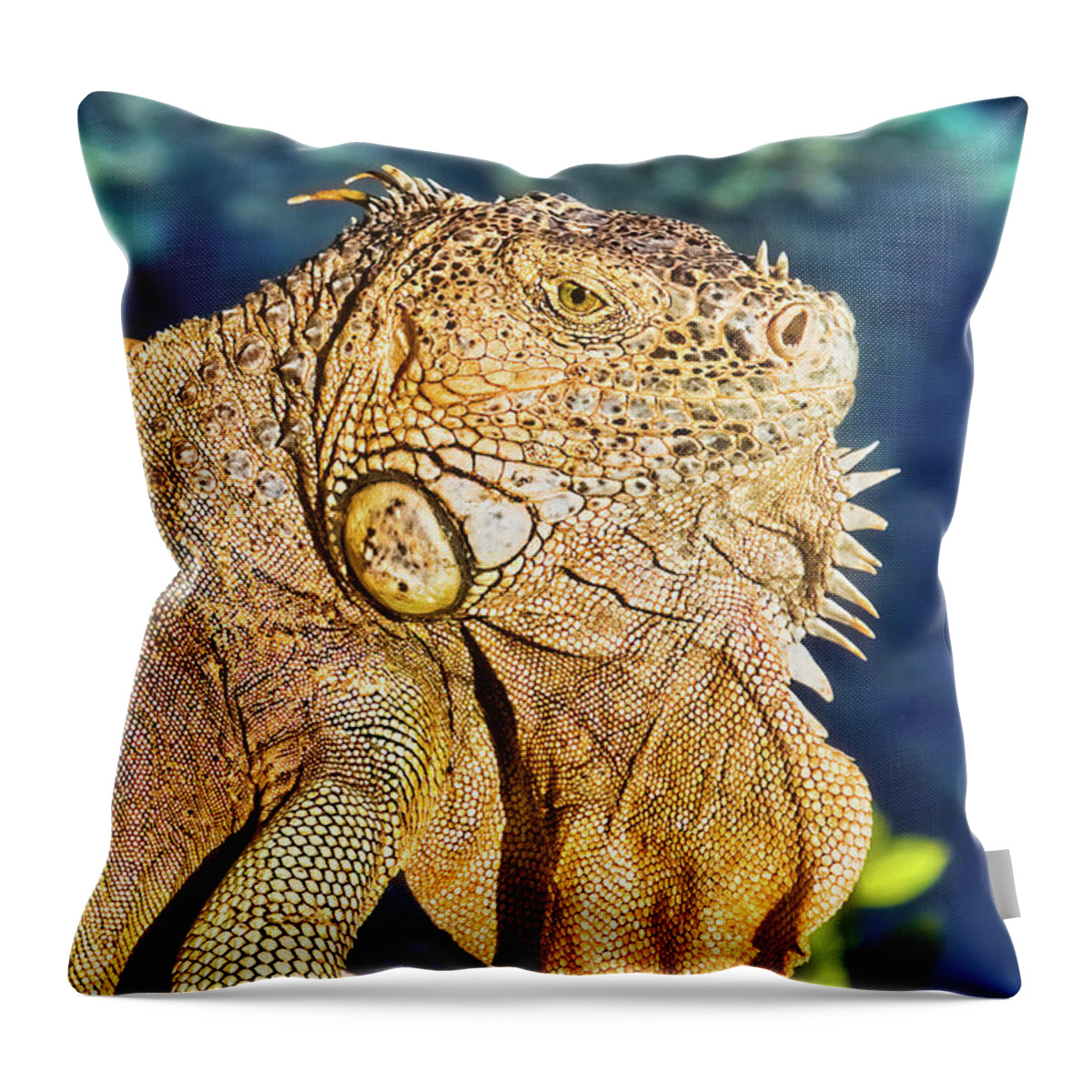 Iguana Throw Pillow featuring the photograph Giant iguana by Tatiana Travelways
