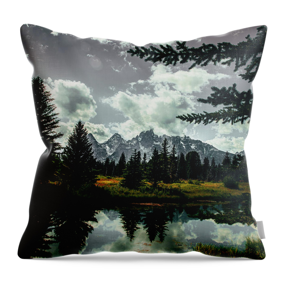 Grand Throw Pillow featuring the photograph Grand Teton National Park #2 by Brian Venghous