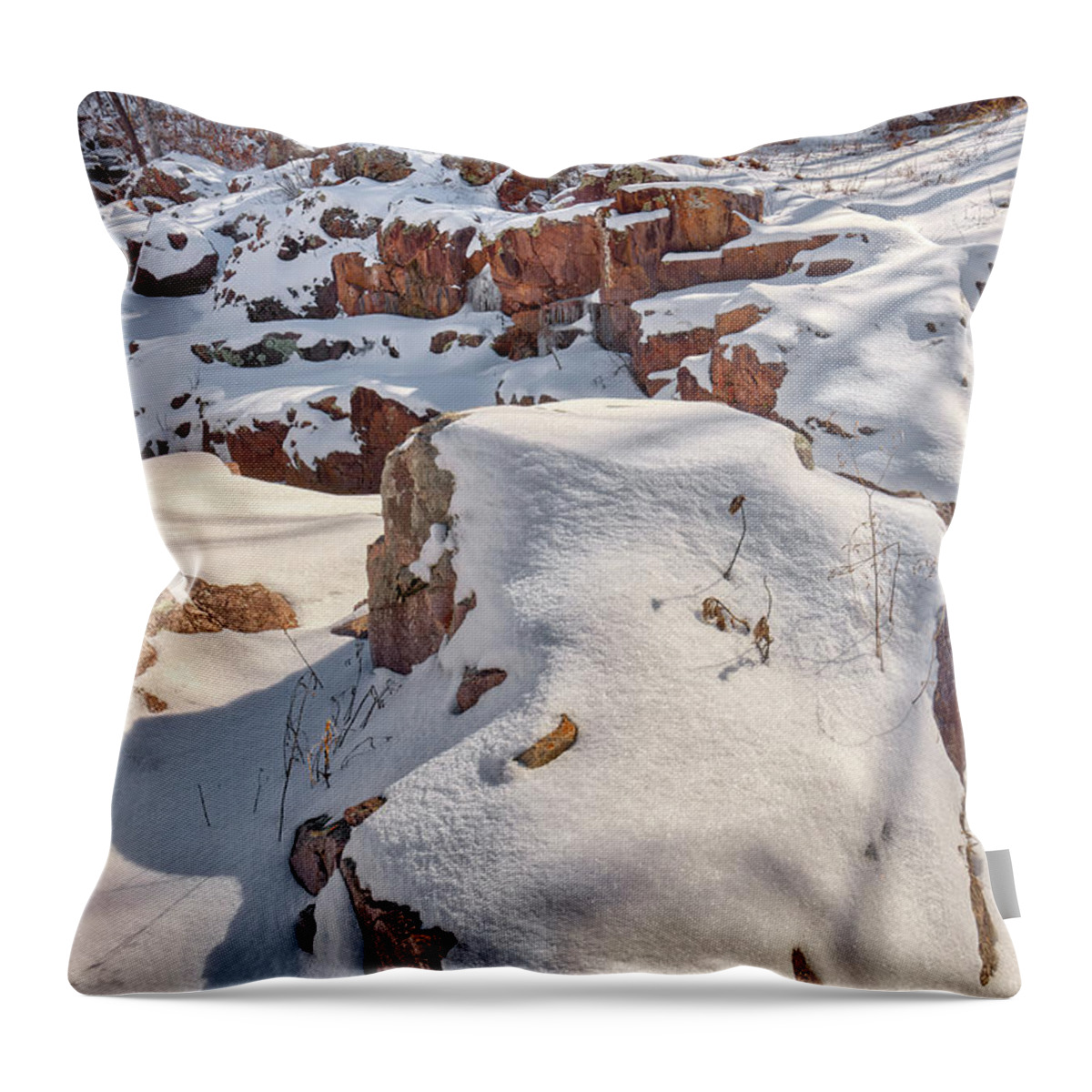 Mill Throw Pillow featuring the photograph Klepzig Mill #2 by Robert Charity
