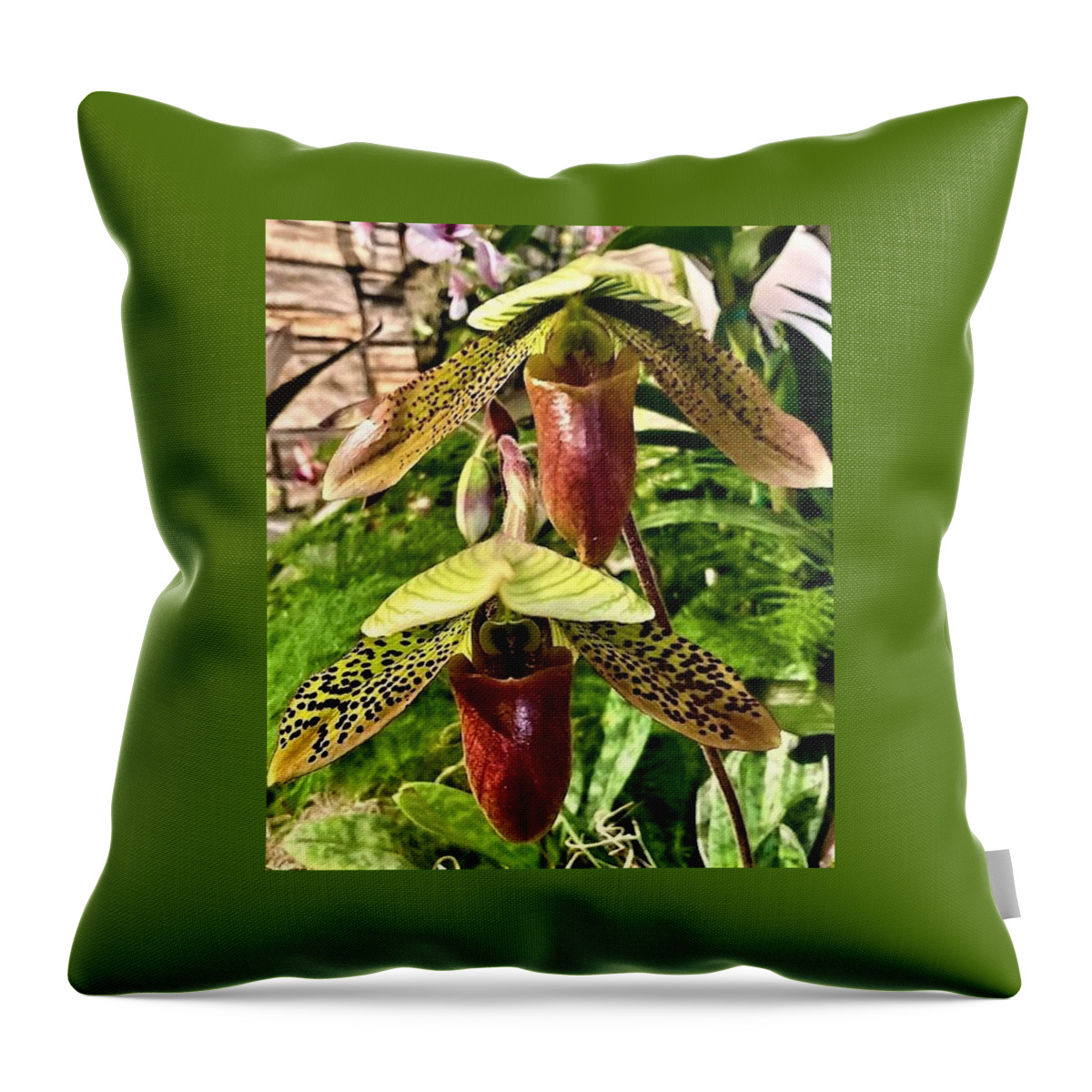 Flora Throw Pillow featuring the photograph Lady Slipper Orchid #2 by Bruce Bley