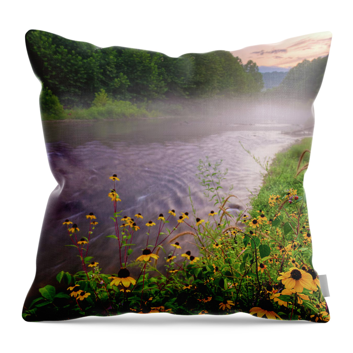 Wildflowers Throw Pillow featuring the photograph Little Piney Creek #2 by Robert Charity