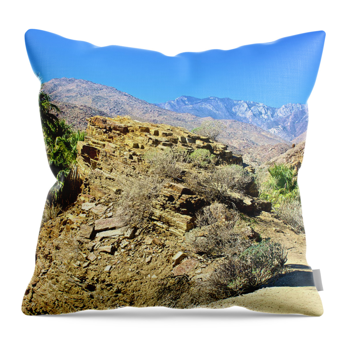 Lower Palm Canyon From Beginning Of Fern Trail In Indian Canyons Near Palm Springs Throw Pillow featuring the photograph Lower Palm Canyon Trail in Indian Canyons near Palm Springs, California #2 by Ruth Hager