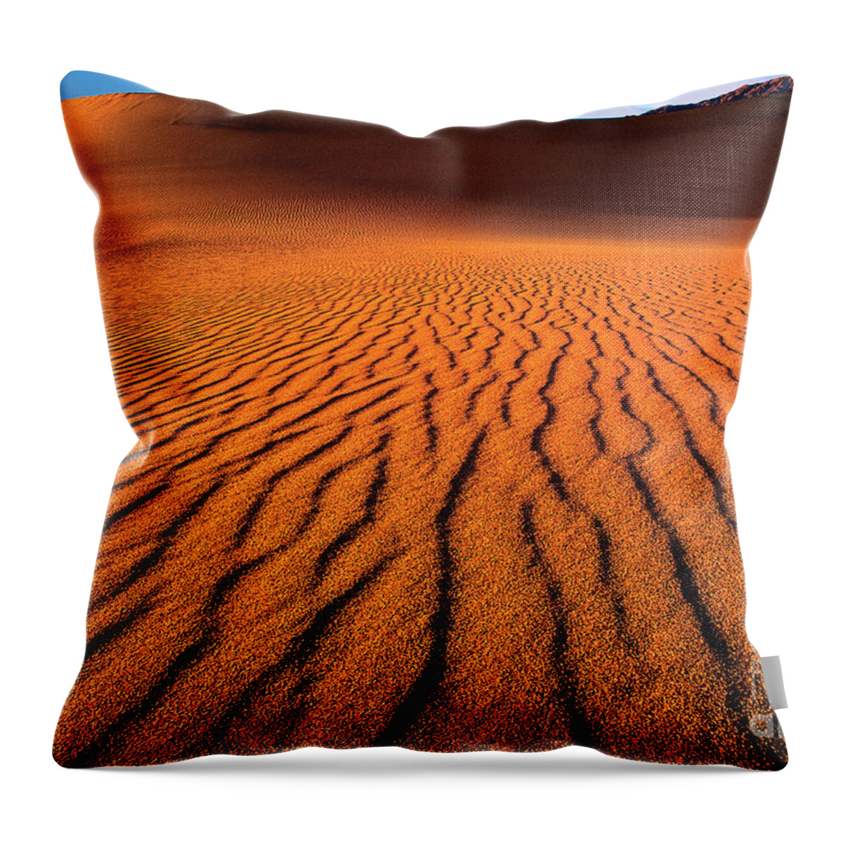 Dave Welling Throw Pillow featuring the photograph Mesquite Sand Dunes Death Valley California #2 by Dave Welling