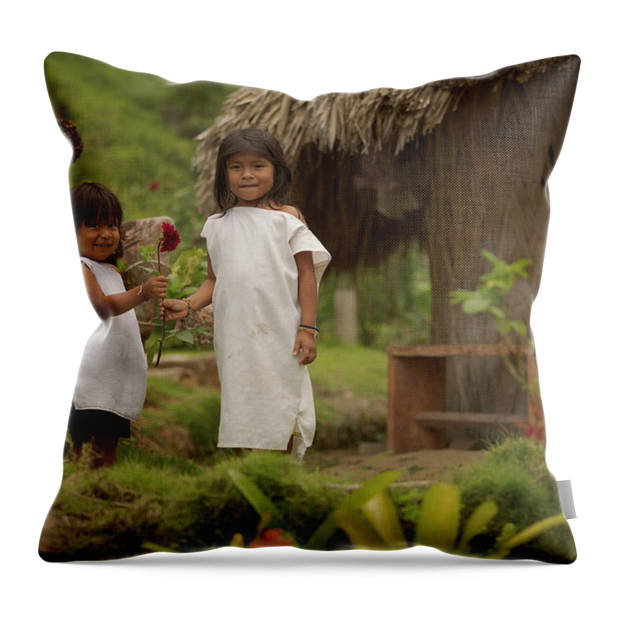 Minca Throw Pillow featuring the photograph Minca Magdalena Colombia #2 by Tristan Quevilly