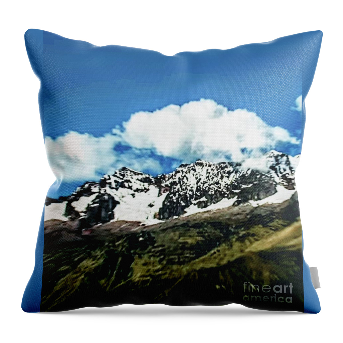 Flower Throw Pillow featuring the photograph Nature Art #2 by Yvonne Padmos