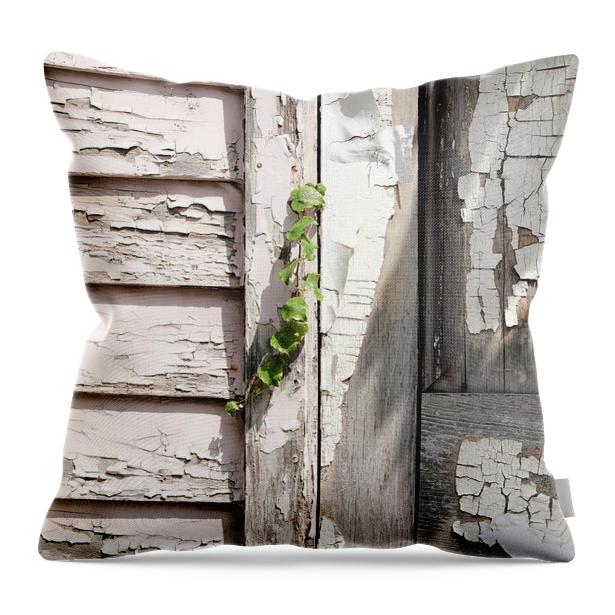 Rustic Throw Pillow featuring the photograph Never Give Up #2 by Kreddible Trout
