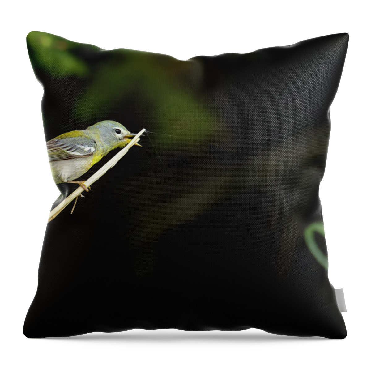 Northern Parula Throw Pillow featuring the photograph Northern Parula #2 by Brook Burling