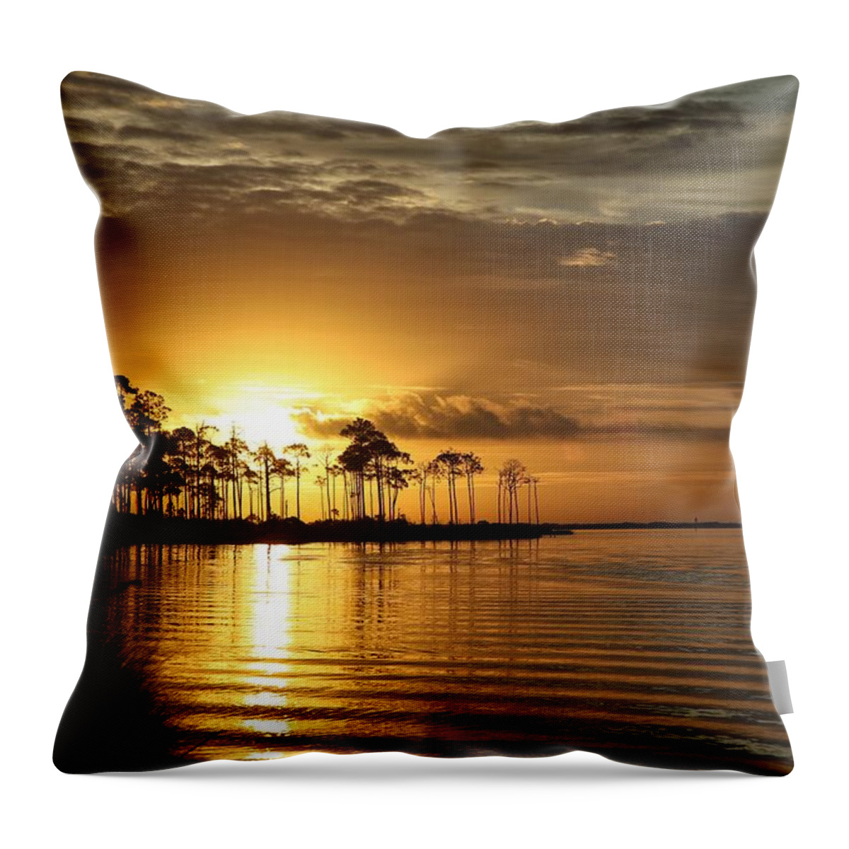 Perdido Key Throw Pillow featuring the photograph November Morning Big Lagoon 2023 #2 by Gary Oliver