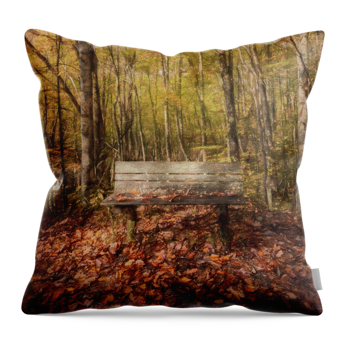 Fall Throw Pillow featuring the photograph Old Bench in the Fallen Leaves Creeper Trail in Autumn Fall Colo #2 by Debra and Dave Vanderlaan