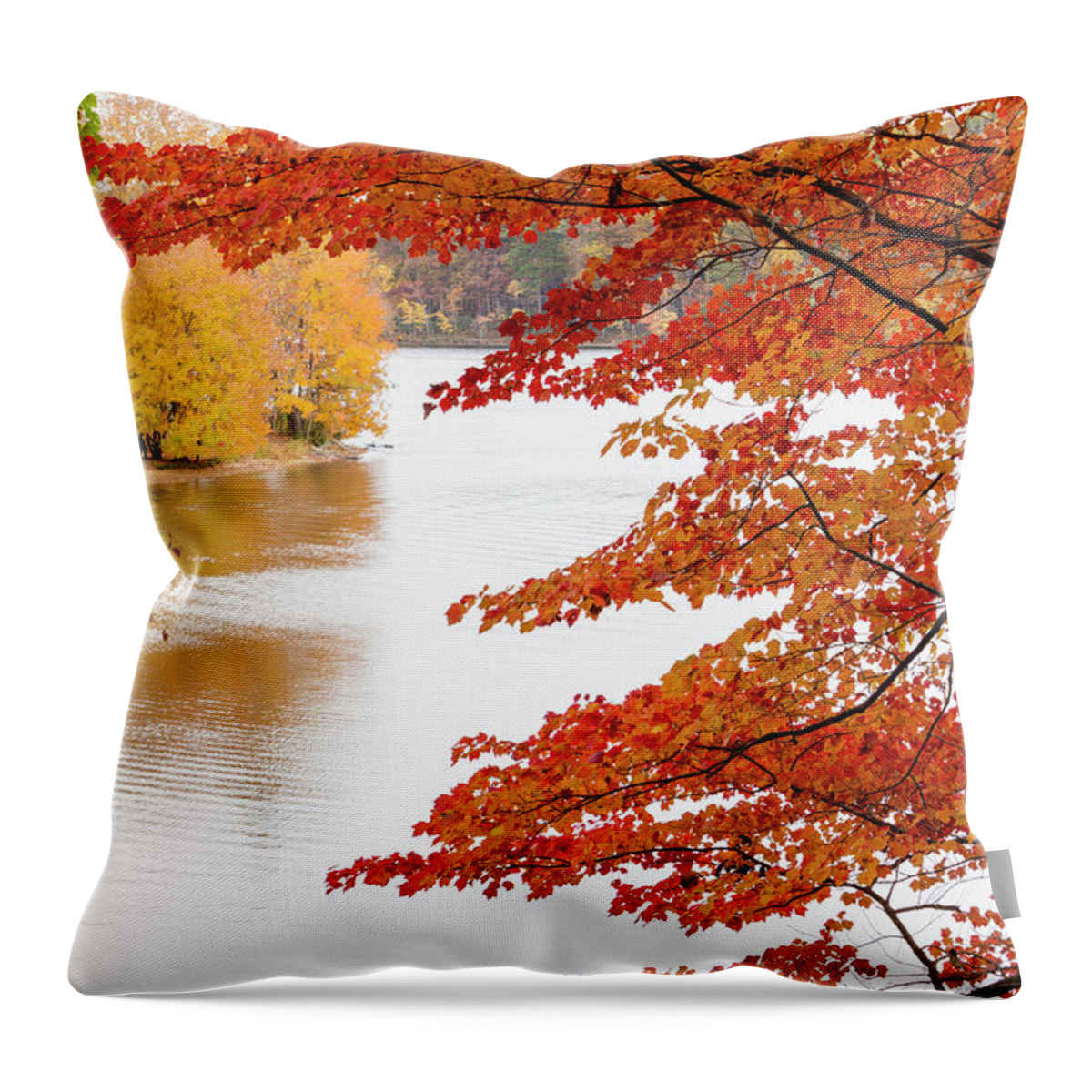 Gaithersburg Throw Pillow featuring the photograph Peaking autumn colors around the lake at Seneca Creek State Park #2 by William Kuta