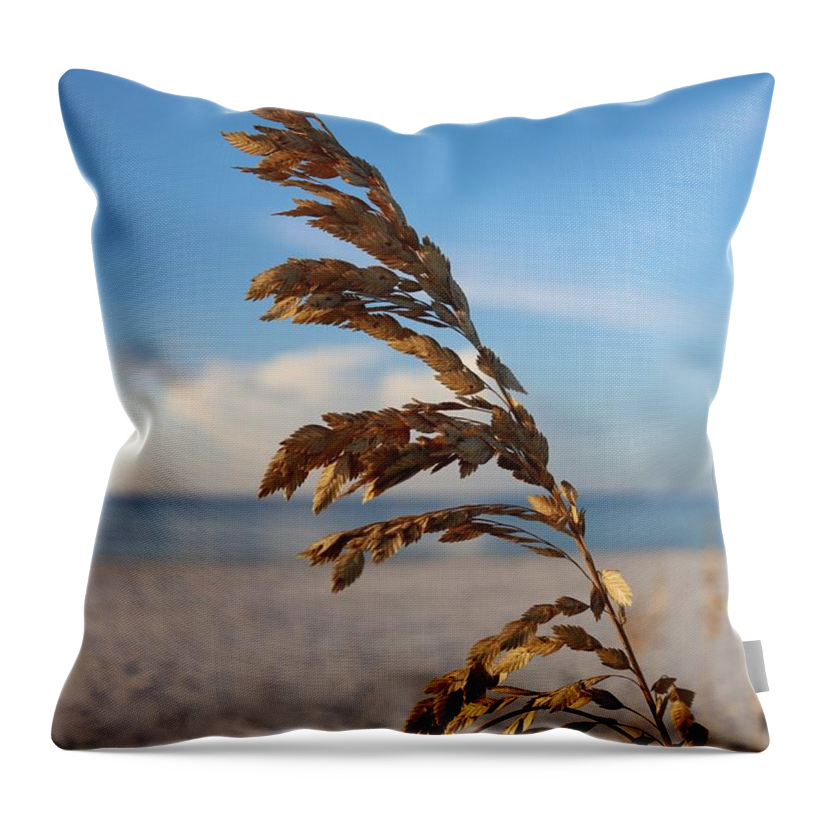 Perdido Key Throw Pillow featuring the photograph  Sea Oats Print #2 by Gary Oliver