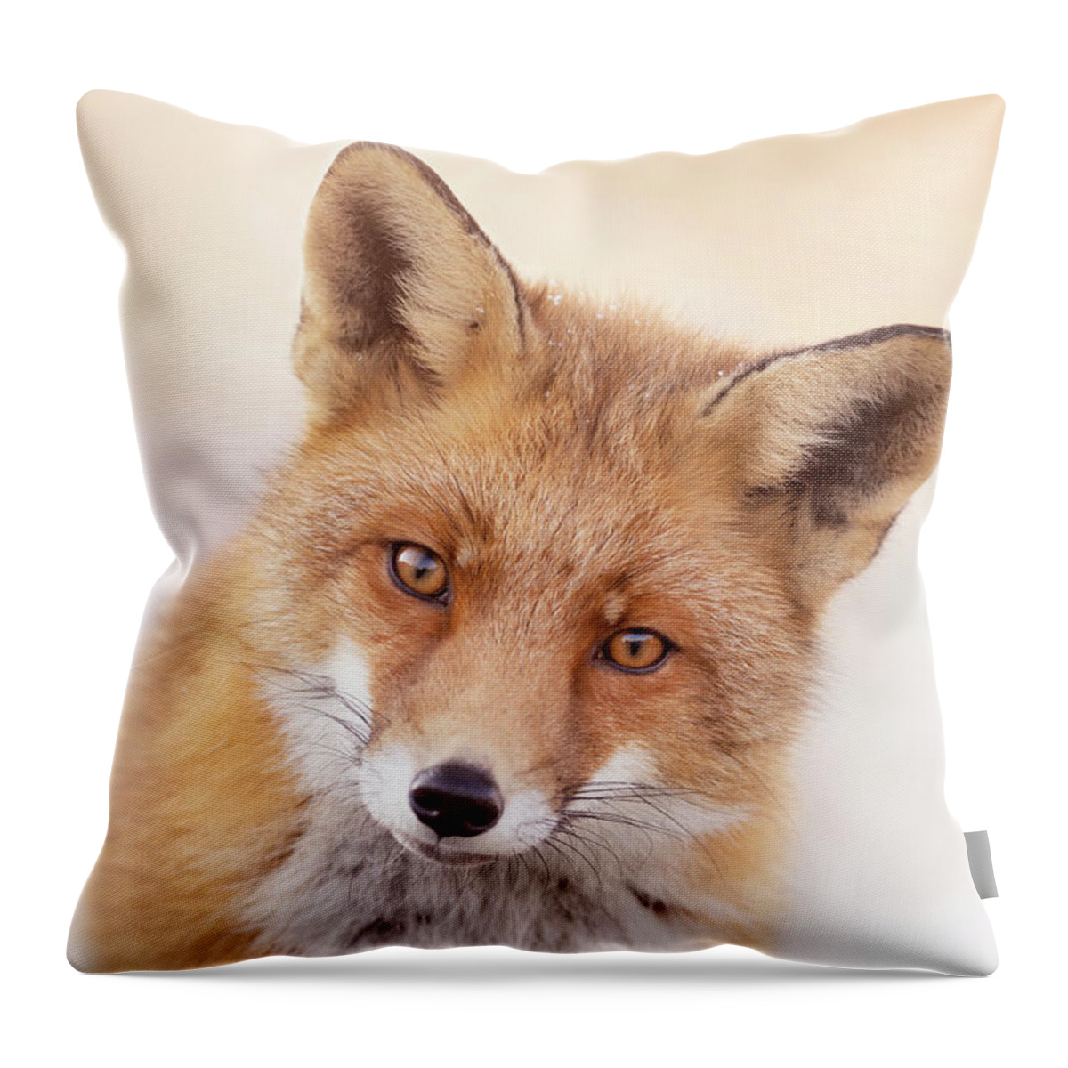 Fox Throw Pillow featuring the photograph That Foxy Face #2 by Roeselien Raimond
