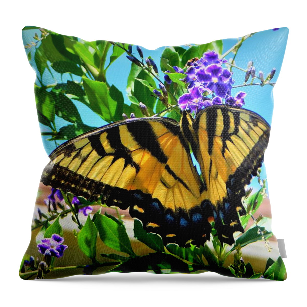 Landscape Throw Pillow featuring the photograph Tiger Swallowtail #1 by Gena Herro