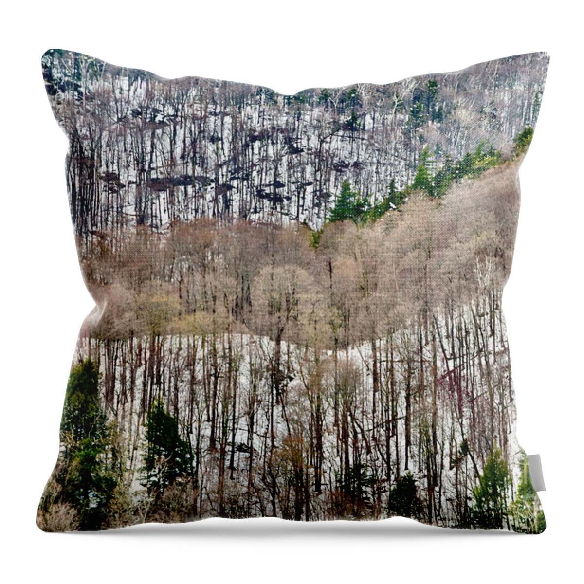 Vermont Throw Pillow featuring the photograph Vermont Abstract Dreamscape by Debra Banks
