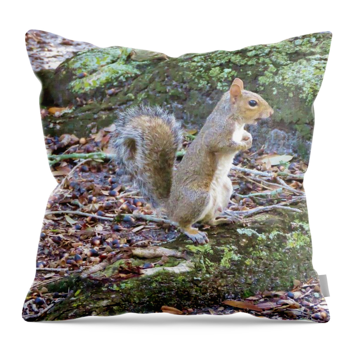 Squirrel Throw Pillow featuring the photograph Waiting #2 by World Reflections By Sharon