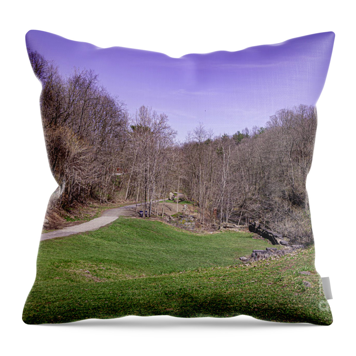 Park Throw Pillow featuring the photograph Walk in the Park #2 by William Norton