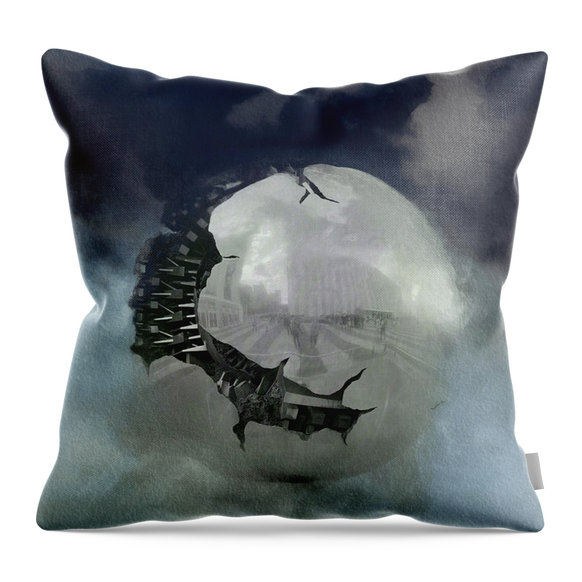 2020 Throw Pillow featuring the photograph 2020 by Carol Whaley Addassi