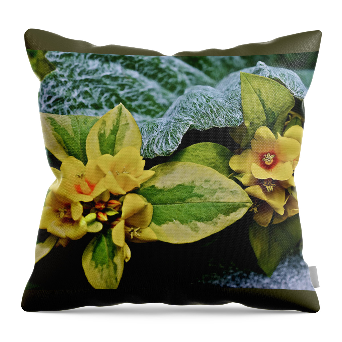 Flowers Throw Pillow featuring the photograph 2020 Mid June Garden Container 2 by Janis Senungetuk